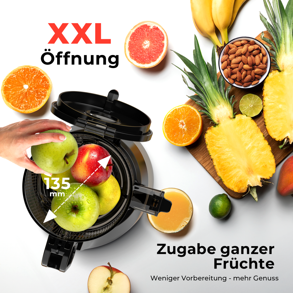 Balter Entsafter ES-01P Slow Juicer